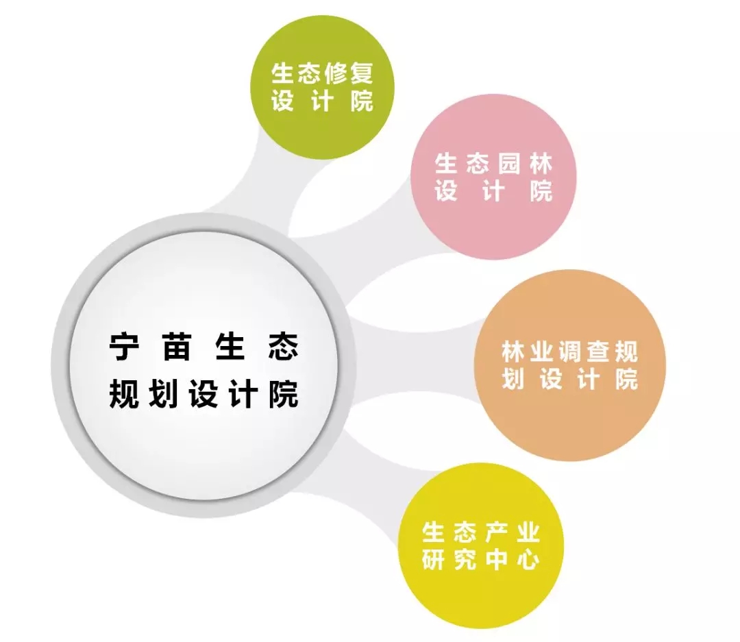 1541555424312109.jpg 640.webp (1).jpg